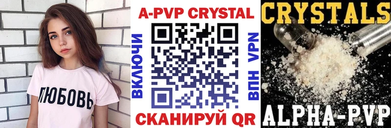 A PVP СК  Тутаев 