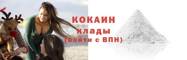 крисы Баксан