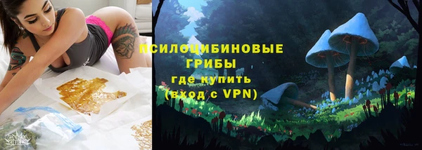 гидропоника Белокуриха